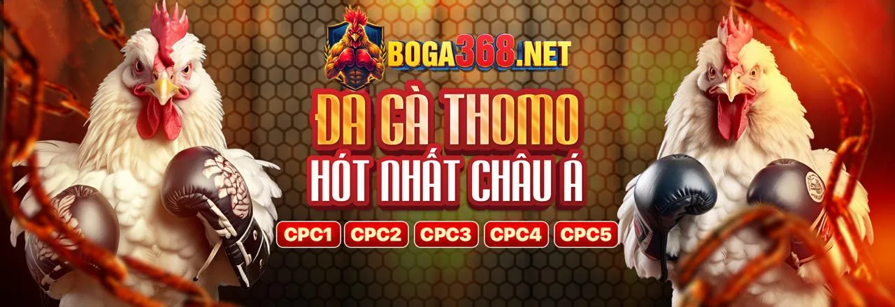 Tin tức mới nhất từ 88betgroup chính thức